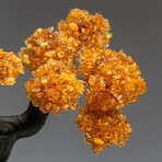 The Calming Tree // Custom Genuine Citrine Clustered Gemstone Tree on Citrine Matrix v.1