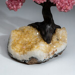 The Comfort Tree // Custom Genuine Rose Quartz Clustered Gemstone Tree on Citrine Matrix v.1