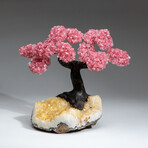 The Comfort Tree // Custom Genuine Rose Quartz Clustered Gemstone Tree on Citrine Matrix v.1
