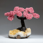 The Comfort Tree // Custom Genuine Rose Quartz Clustered Gemstone Tree on Citrine Matrix v.1
