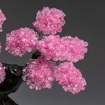 The Eternal Love Tree // Custom Genuine Rose Quartz Clustered Gemstone Tree on Rose Quartz Matrix v.1