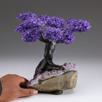 The Protection Tree // Custom Genuine Amethyst Clustered Gemstone Tree on Amethyst Matrix