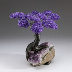 The Protection Tree // Custom Genuine Amethyst Clustered Gemstone Tree on Amethyst Matrix