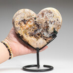 Genuine Crazy Lace Agate Heart on Metal Stand
