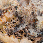 Genuine Crazy Lace Agate Heart on Metal Stand