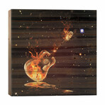 Gutat by Mark Ashkenazi