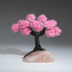 The Eternal Love Tree // Custom Genuine Rose Quartz Clustered Gemstone Tree on Rose Quartz Matrix v.6