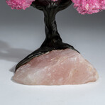 The Eternal Love Tree // Custom Genuine Rose Quartz Clustered Gemstone Tree on Rose Quartz Matrix v.6