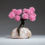 The Eternal Love Tree // Custom Genuine Rose Quartz Clustered Gemstone Tree on Rose Quartz Matrix v.4