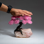 The Eternal Love Tree // Custom Genuine Rose Quartz Clustered Gemstone Tree on Rose Quartz Matrix v.2