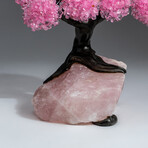 The Eternal Love Tree // Custom Genuine Rose Quartz Clustered Gemstone Tree on Rose Quartz Matrix v.5