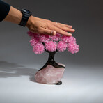 The Eternal Love Tree // Custom Genuine Rose Quartz Clustered Gemstone Tree on Rose Quartz Matrix v.5