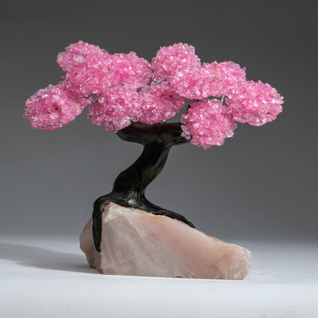 The Eternal Love Tree // Custom Genuine Rose Quartz Clustered Gemstone Tree on Rose Quartz Matrix v.3