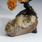 The Calming Tree // Custom Genuine Citrine Clustered Gemstone Tree on Citrine Matrix v.2