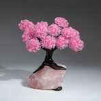The Eternal Love Tree // Custom Genuine Rose Quartz Clustered Gemstone Tree on Rose Quartz Matrix v.5