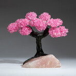 The Eternal Love Tree // Custom Genuine Rose Quartz Clustered Gemstone Tree on Rose Quartz Matrix v.6