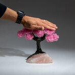 The Eternal Love Tree // Custom Genuine Rose Quartz Clustered Gemstone Tree on Rose Quartz Matrix v.6
