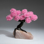 The Eternal Love Tree // Custom Genuine Rose Quartz Clustered Gemstone Tree on Rose Quartz Matrix v.3