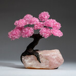 The Eternal Love Tree // Custom Genuine Rose Quartz Clustered Gemstone Tree on Rose Quartz Matrix v.2