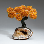 The Calming Tree // Custom Genuine Citrine Clustered Gemstone Tree on Citrine Matrix v.3