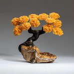 The Calming Tree // Custom Genuine Citrine Clustered Gemstone Tree on Citrine Matrix v.4