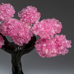 The Eternal Love Tree // Custom Genuine Rose Quartz Clustered Gemstone Tree on Rose Quartz Matrix v.6