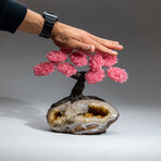 The Comfort Tree // Custom Genuine Rose Quartz Clustered Gemstone Tree on Citrine Matrix v.2