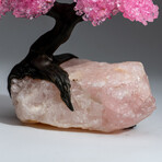The Eternal Love Tree // Custom Genuine Rose Quartz Clustered Gemstone Tree on Rose Quartz Matrix v.2