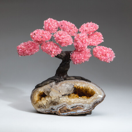 The Comfort Tree // Custom Genuine Rose Quartz Clustered Gemstone Tree on Citrine Matrix v.2