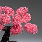 The Comfort Tree // Custom Genuine Rose Quartz Clustered Gemstone Tree on Citrine Matrix v.2