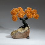 The Calming Tree // Custom Genuine Citrine Clustered Gemstone Tree on Citrine Matrix v.2