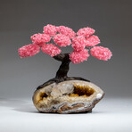 The Comfort Tree // Custom Genuine Rose Quartz Clustered Gemstone Tree on Citrine Matrix v.2