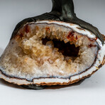 The Calming Tree // Custom Genuine Citrine Clustered Gemstone Tree on Citrine Matrix v.3