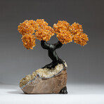 The Calming Tree // Custom Genuine Citrine Clustered Gemstone Tree on Citrine Matrix v.2