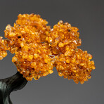 The Calming Tree // Custom Genuine Citrine Clustered Gemstone Tree on Citrine Matrix v.2