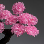 The Eternal Love Tree // Custom Genuine Rose Quartz Clustered Gemstone Tree on Rose Quartz Matrix v.2