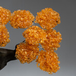 The Calming Tree // Custom Genuine Citrine Clustered Gemstone Tree on Citrine Matrix v.4