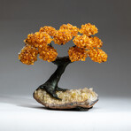 The Calming Tree // Custom Genuine Citrine Clustered Gemstone Tree on Citrine Matrix v.5