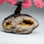 The Comfort Tree // Custom Genuine Rose Quartz Clustered Gemstone Tree on Citrine Matrix v.2