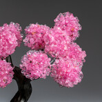 The Eternal Love Tree // Custom Genuine Rose Quartz Clustered Gemstone Tree on Rose Quartz Matrix v.4