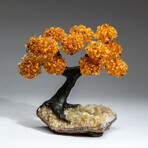 The Calming Tree // Custom Genuine Citrine Clustered Gemstone Tree on Citrine Matrix v.5