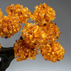 The Calming Tree // Custom Genuine Citrine Clustered Gemstone Tree on Citrine Matrix v.5