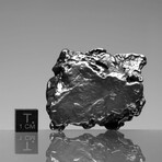 Campo del Cielo Meteorite // Ver. 1