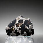 Brenham Pallasite Meteorite // Ver. 4