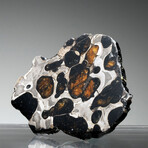 Brenham Pallasite Meteorite // Ver. 7