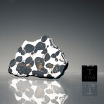 Brenham Pallasite Meteorite // Ver. 4