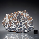 Brenham Pallasite Meteorite // Ver. 2