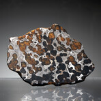 Brenham Pallasite Meteorite // Ver. 2