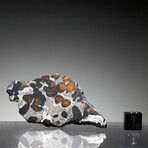Brenham Pallasite Meteorite // Ver. 3