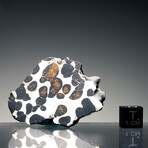 Brenham Pallasite Meteorite // Ver. 7
